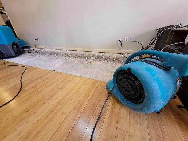 Professional Burst Pipe Water Damage technician working in Merrill, WI